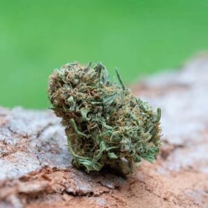 Trilogy 6:1:1 THC:CBG:THCv 7.5g